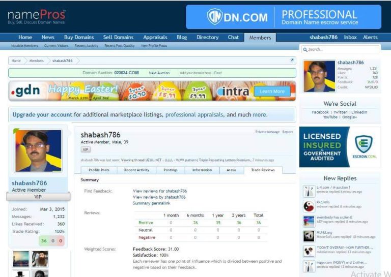 Top Pakistani Domainer: Shahzad Bashir at Flippa NamePros Sedo Godaddy